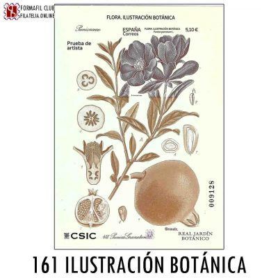161 Flora Ilustracion Botanica 2022